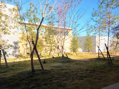 IMG_20201124_104418_028~2