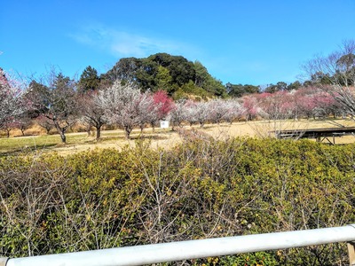 IMG_20200204_141148~2