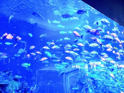 IMG_20220328_113359_672~3_copy_2304x1728