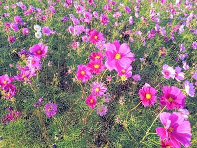 IMG_20211029_160559_655~2