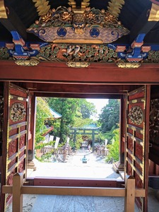 PHOTO_20240821_142033~2_copy_2358x3144