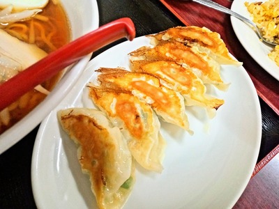 PHOTO_20240119_172043~2_copy_2304x1728