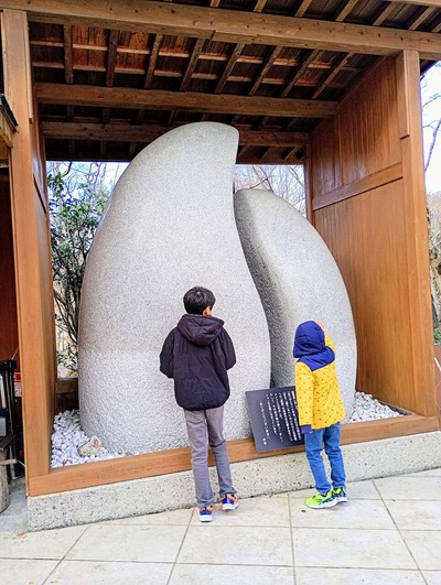 IMG_20241224_130827997_MFNR~2_copy_2304x3060