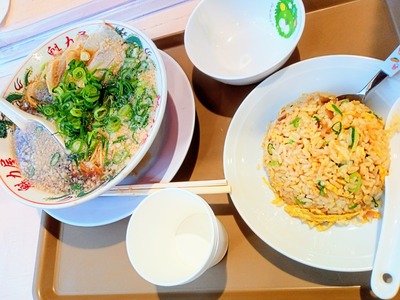 IMG_20230306_114642_518~2_copy_2304x1728