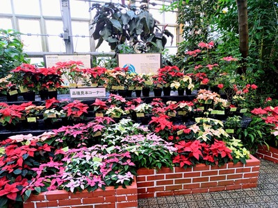 IMG_20231225_140756_546~2_copy_3456x2592