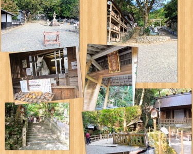 Photo Collage_20211101_161816059