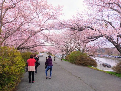 IMG_20220329_135253_466~2_copy_2304x1728