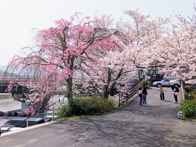 IMG_20210330_105625_068~2