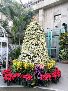 IMG_20191216_141720~2