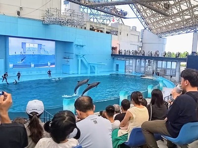 VID_20240820_135048_exported_146637~2_copy_1080x810