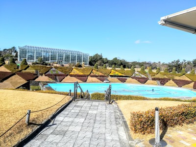 IMG_20200206_133135~2