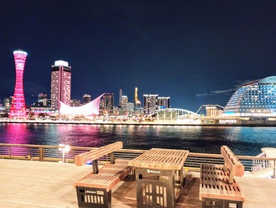 IMG_20250330_194259870_MFNR~2_copy_4039x3041