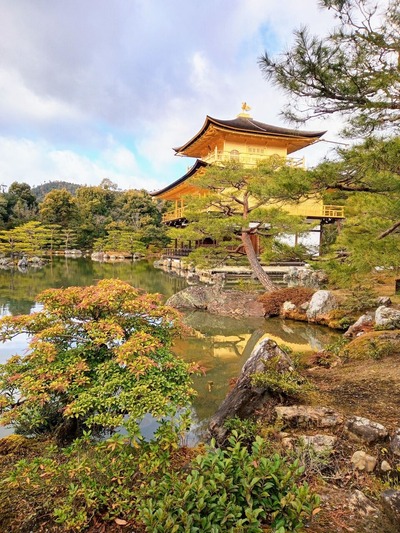 IMG_20221226_113429_014~2_copy_1728x2304