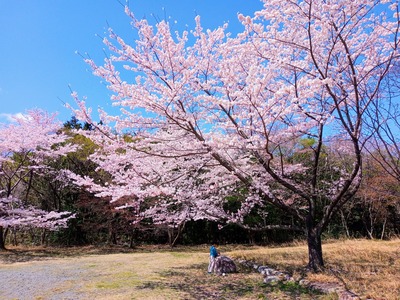 IMG_20220404_101833_141~2_copy_2304x1728