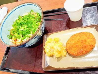 IMG_20250127_132119798_MFNR~2_copy_3060x2304