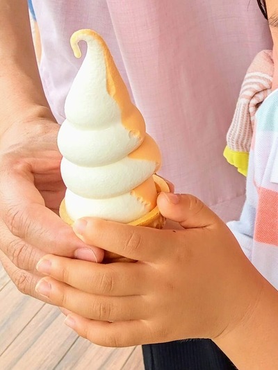 Point Blur_20250317_152330