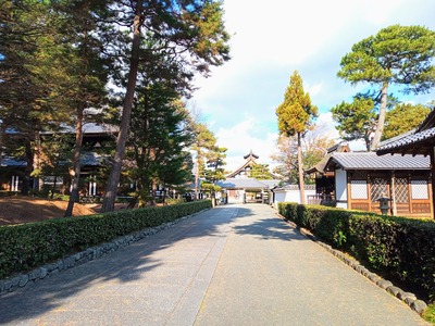 IMG_20231225_122139_120~2_copy_3456x2592