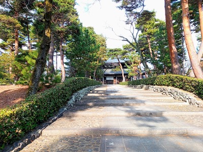 IMG_20231225_124113_038~2_copy_3456x2592