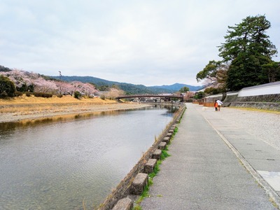 IMG_20220329_114710_391~2_copy_2304x1728