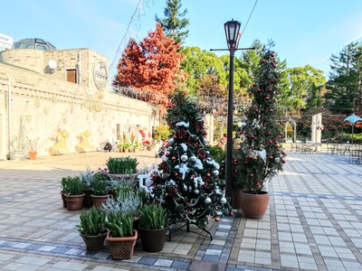 IMG_20191216_142608~2