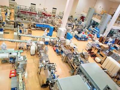 PHOTO_20240822_121642~2_copy_3144x2358