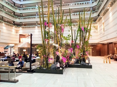 IMG_20221226_090237_918~2_copy_2304x1728