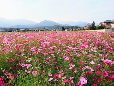 IMG_20231019_154343_407~2_copy_2304x1728