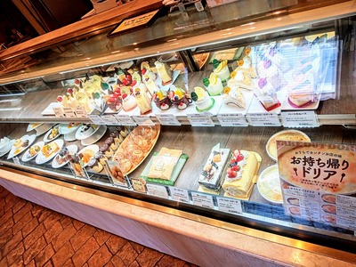 PHOTO_20240514_105801~2_copy_2304x1728