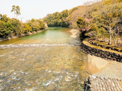 IMG_20210330_114848_555~2