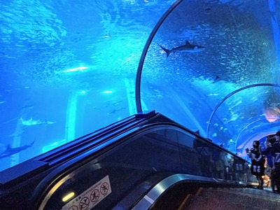 PHOTO_20240820_120843~2_copy_3144x2358