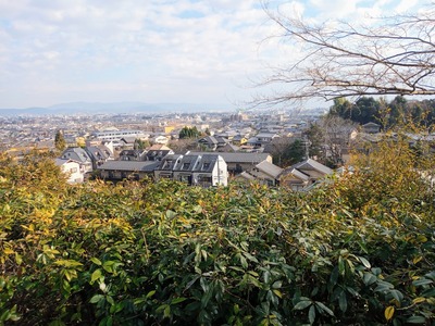 PHOTO_20211224_134619~2_copy_3456x2592