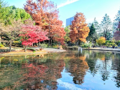 IMG_20191216_141910~2