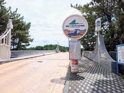 PHOTO_20240820_112441~2_copy_3144x2358