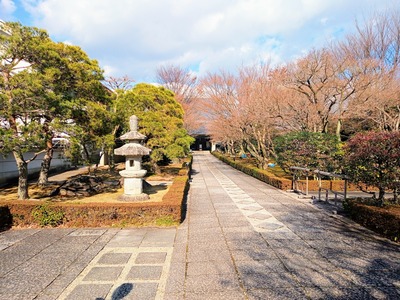 IMG_20231225_122859_050~2_copy_3456x2592