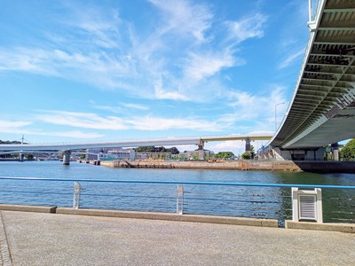 IMG_20240820_144127_832~2_copy_3144x2358