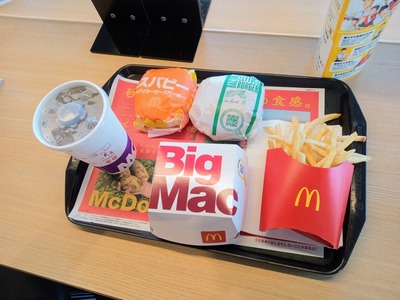 IMG_20221011_121619_351~2_copy_2304x1728