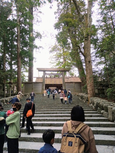 IMG_20220329_121411_498~2_copy_1728x2304