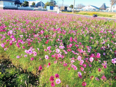 IMG_20211029_160523_071~2