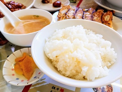 IMG_20250204_115604524_MFNR~3_copy_3060x2304