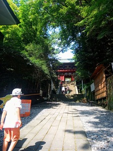 PHOTO_20240821_135732~2_copy_2358x3144