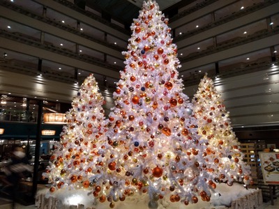 IMG_20221225_194723124_HDR_copy_2080x1560