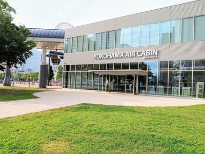 PHOTO_20240819_155313~2_copy_3144x2358