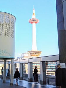 IMG_20231226_120034_591~2_copy_1518x2022