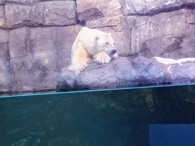 IMG_20240820_115623_796~2_copy_3144x2358