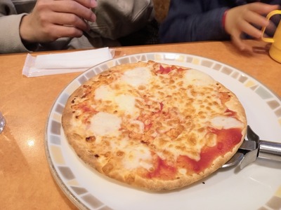 IMG_20221219_115544_845~2_copy_2304x1728