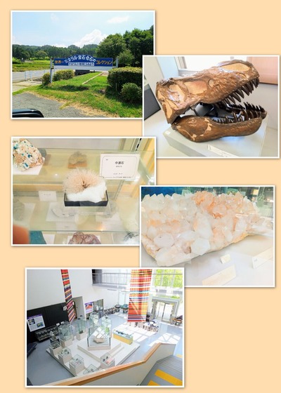 IMG_20231204_1443_54