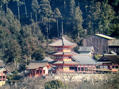 IMG_20231226_124437238_HDR~2_copy_3120x2340