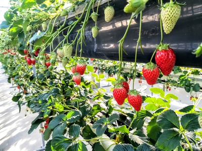 IMG_20200204_145541~2