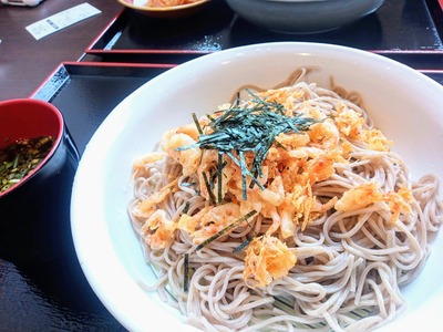 PHOTO_20240910_110801~2_copy_3456x2592