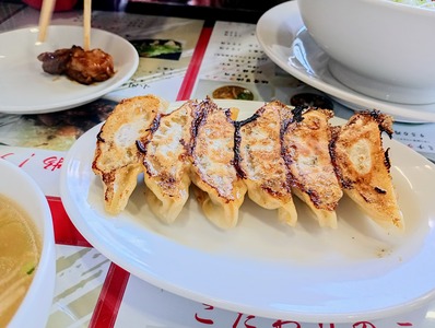 IMG_20250204_115542961_HDR~2_copy_3060x2304